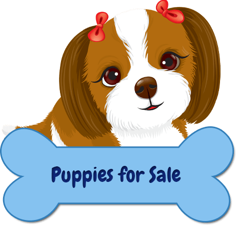 Beautiful Puppy Grooming Salon Boutique Professional - Dogs Emoji (472x449), Png Download