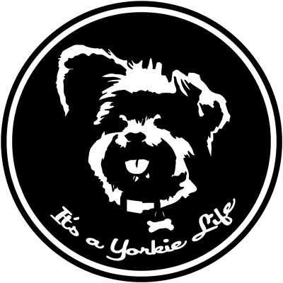 By - Yorkie Spirit Adult Coloring Book: An Exploration (400x400), Png Download