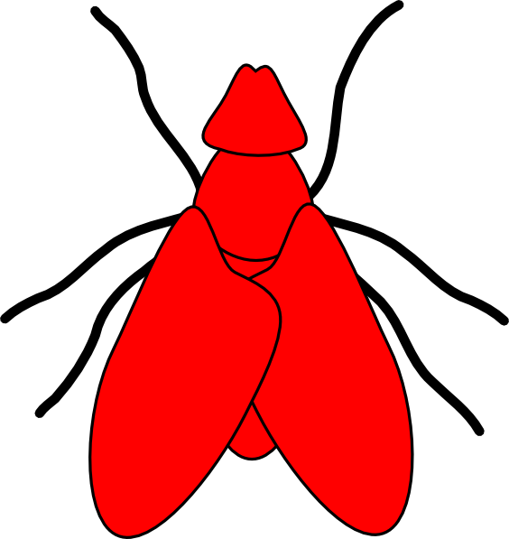 Clip Art Black And White Stock Flying Drawing Small - Red Fly Clipart (564x597), Png Download