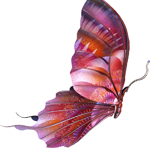 Butterfly Images, Beautiful Butterflies, Free Printables, - Butterfly Psd (500x496), Png Download