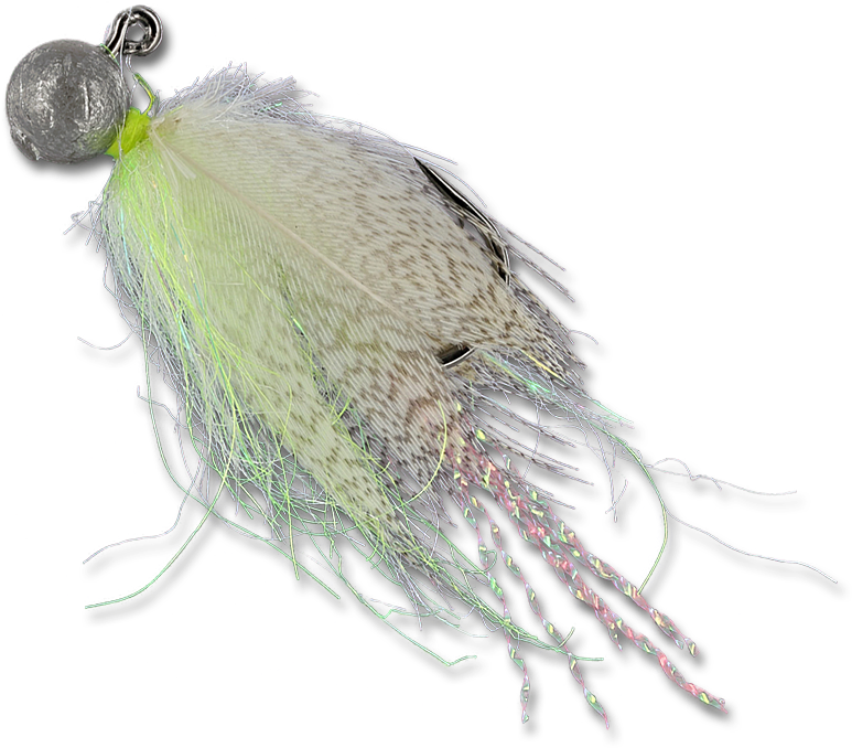 Float N Flies - Insect (800x800), Png Download