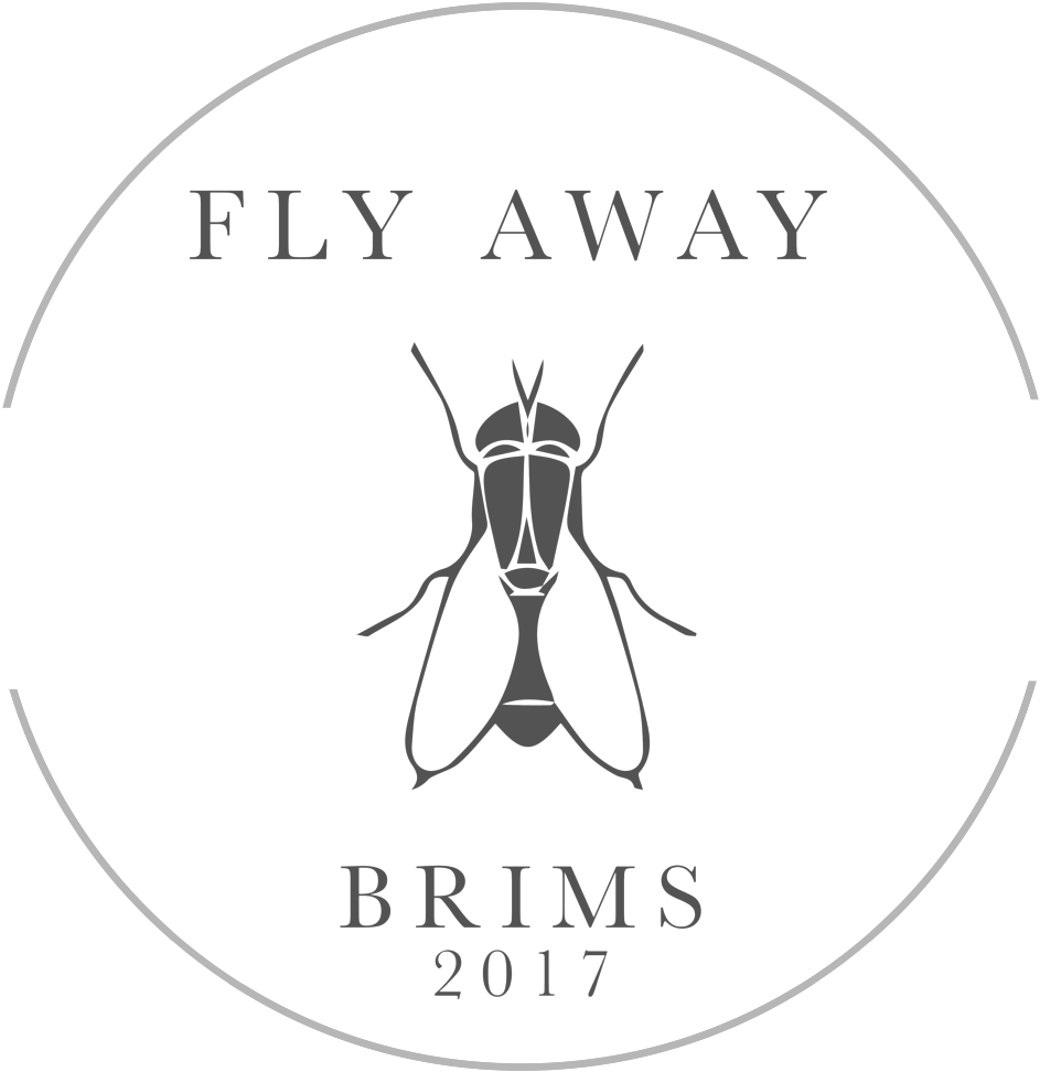 Concept 2 - Circle (1000x973), Png Download