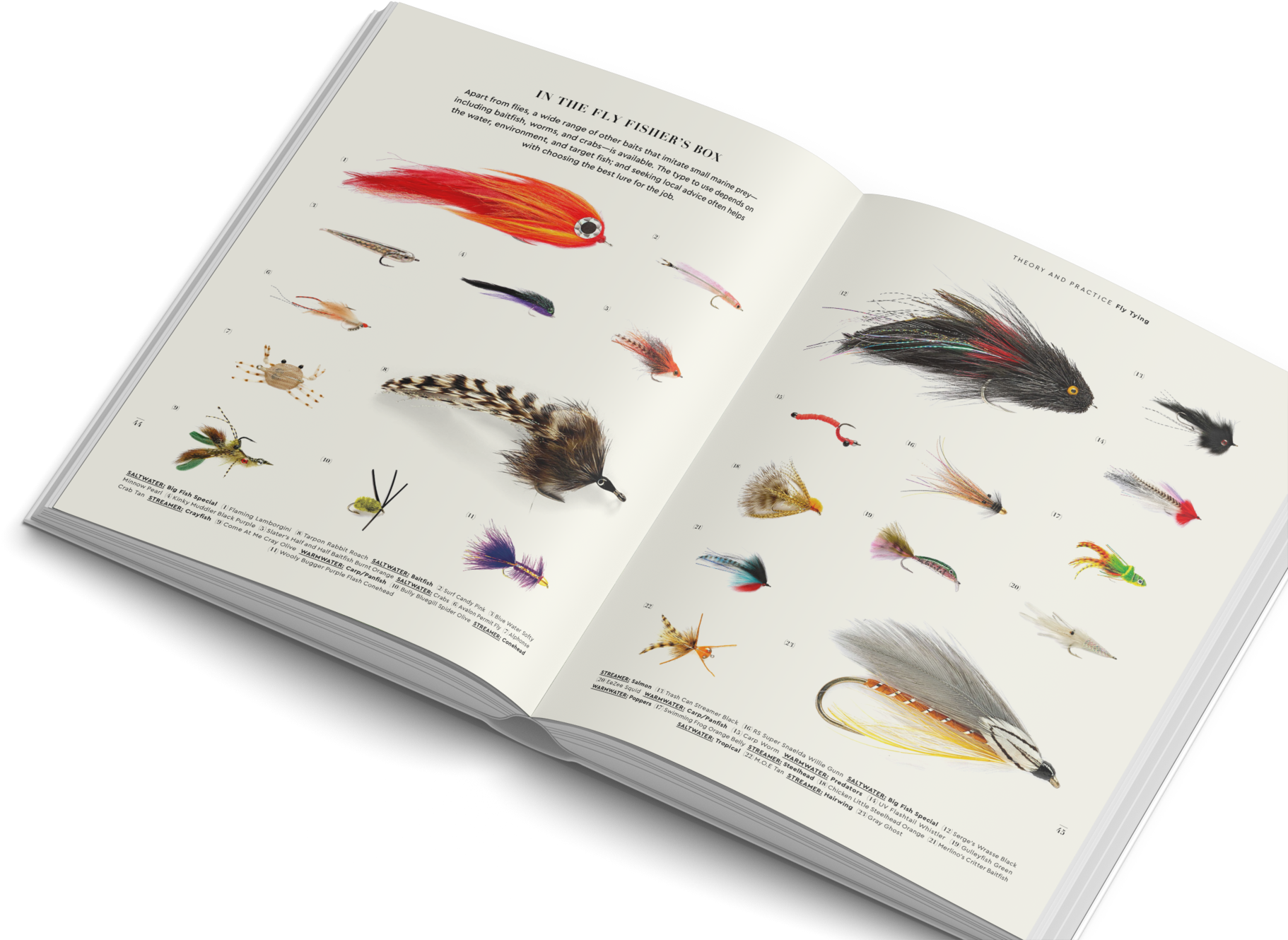 The Fly Fisher Gestalten Book Flyfishing - Madagascar Hissing Cockroach (2000x1498), Png Download