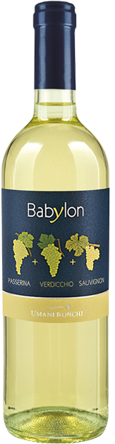 Castelli Di Jesi, Marche - Villa Bianchi 2014 Verdicchio Di Jesi Doc Classico (555x651), Png Download