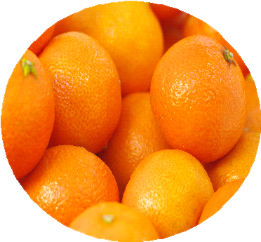 Valencia Oranges - Clementine (413x413), Png Download