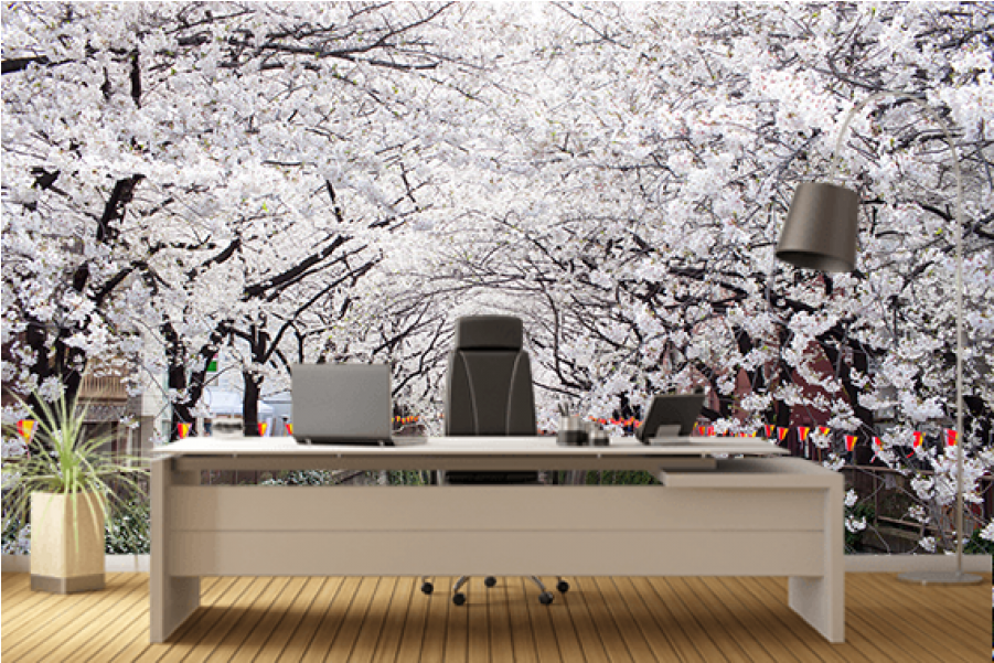 Photo Prints - Japanese Cherry (900x900), Png Download