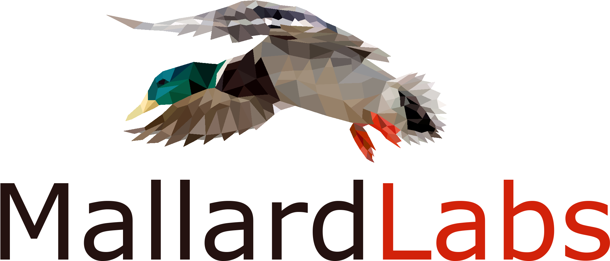 Subscribe To Mallardlabs - Seabird (2158x940), Png Download