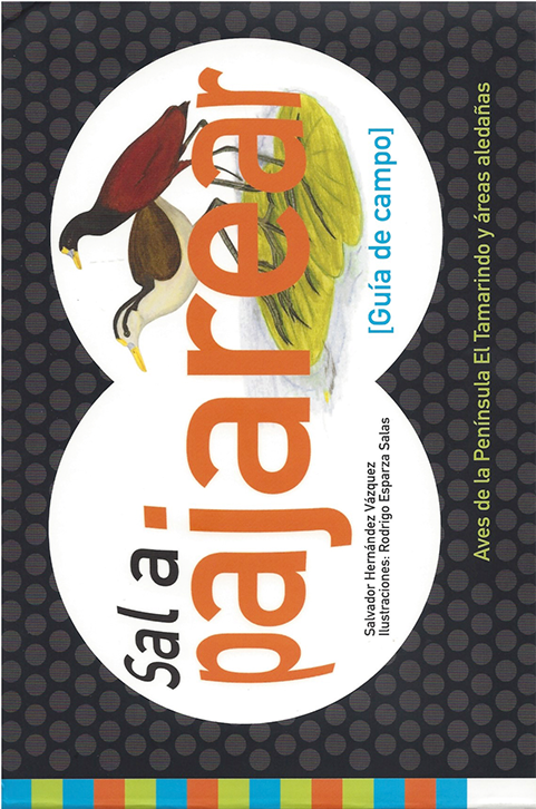 Img - Illustration (576x800), Png Download