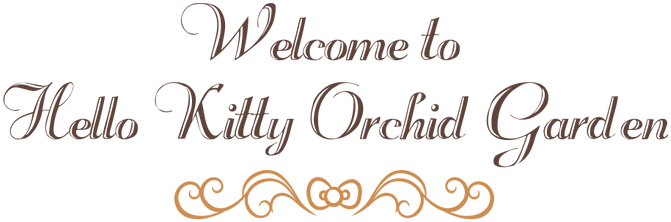 Reminiscent Of A Grand And Resplendent Garden Blooming - Singapore (1100x227), Png Download