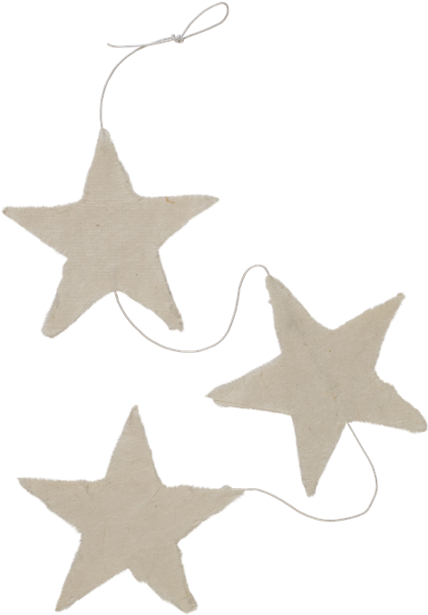 Mulberry Stars, 3 Hanging - Germany National Team Logo (800x800), Png Download