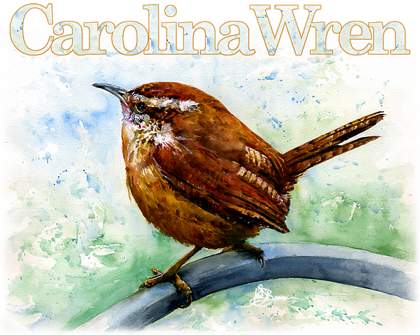 Click And Drag To Re-position The Image, If Desired - Carolina Wren Large (600x479), Png Download