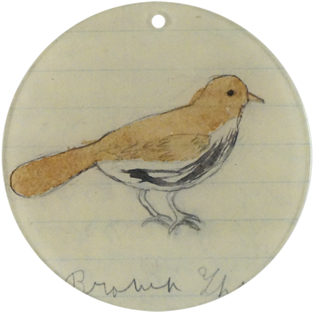 Brown Thrasher - Nightingale (500x500), Png Download