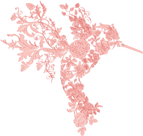 Hummingbird Art - Google Search - Illustration (500x444), Png Download