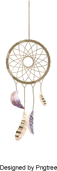 Dreamcatcher, Dreamcatcher, Feather, Color Png And - Portable Network Graphics (800x800), Png Download