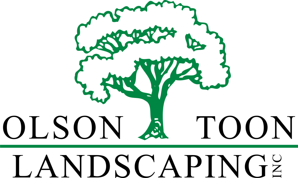 Olson Toon Landscape - T Be Racist Hate Everyone (1000x598), Png Download