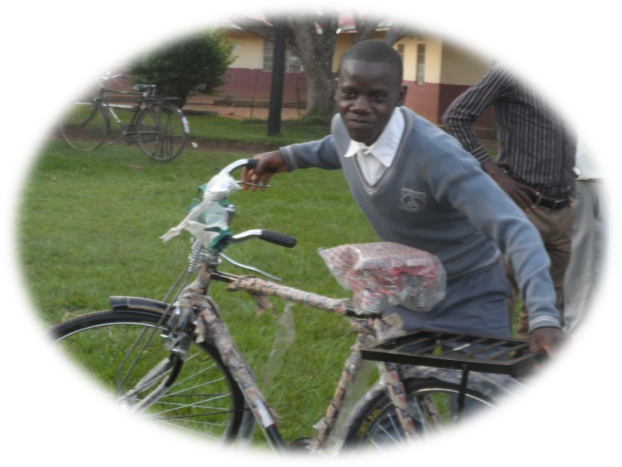 Report For Phase One - News (622x467), Png Download