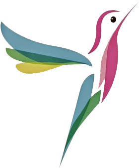 Picture Freeuse Library Colibr Para Cuando Tenemos - Hummingbird (346x347), Png Download