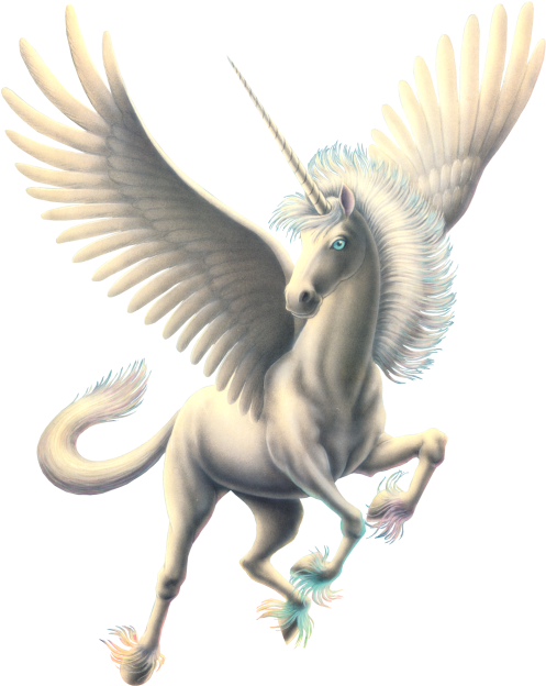 Pegasus Png (506x644), Png Download