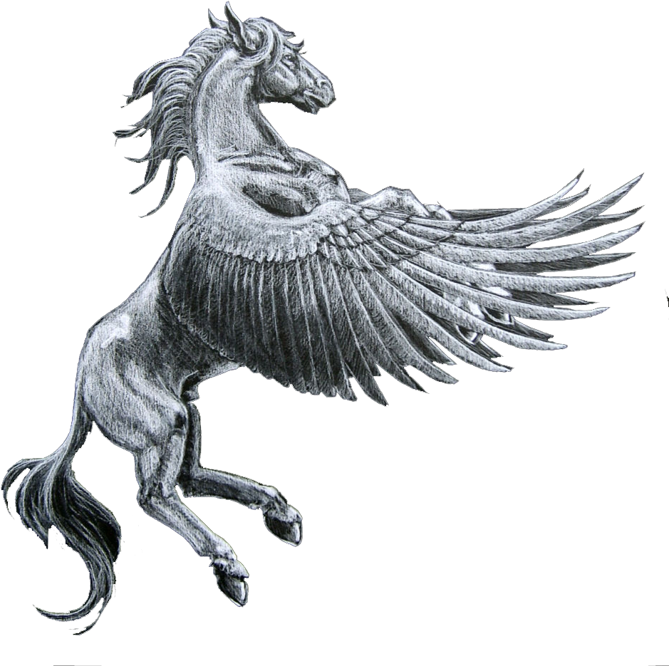 H/1080882480, Pegasus - Pegasus Horse (1000x1003), Png Download