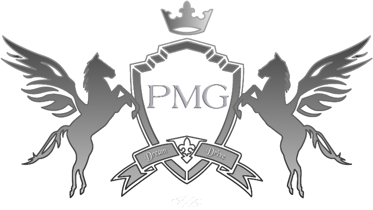 Pegasus Motor Group (800x430), Png Download