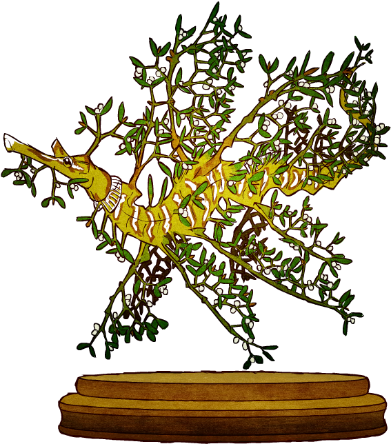 Mistletoe Mature Personals (581x662), Png Download