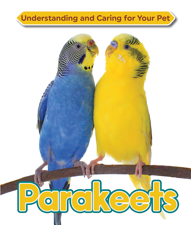 Parakeets - Parakeets (smith Catherine (west Hampshire Nhs Trust)) (650x950), Png Download