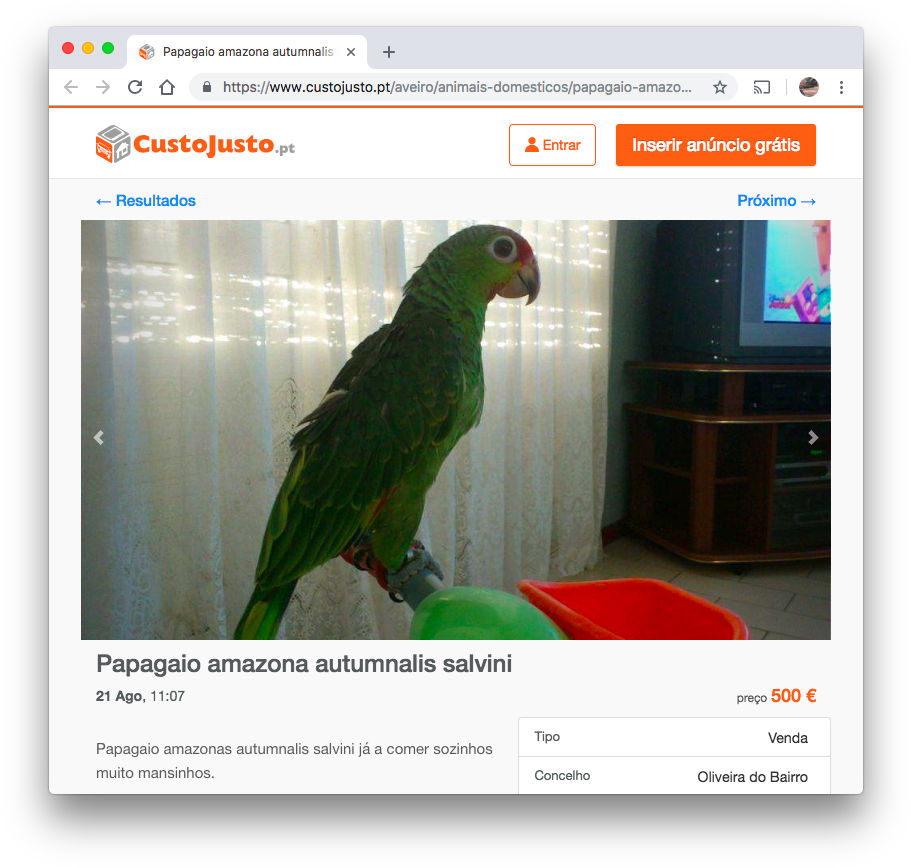 <https - Parrot (926x879), Png Download