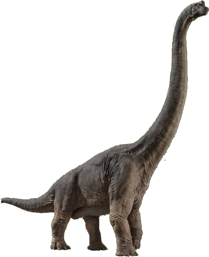 Jurassic World Brachiosaurus By Sonichedgehog2-dc55jvt - Jurassic World Evolution Brachiosaurus (894x894), Png Download