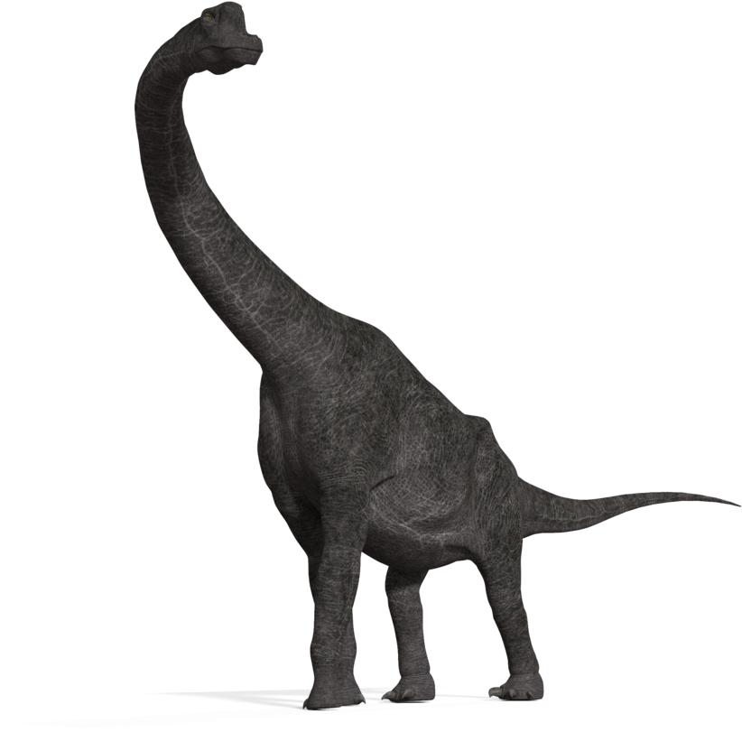 Brachiosaurus Png (900x843), Png Download
