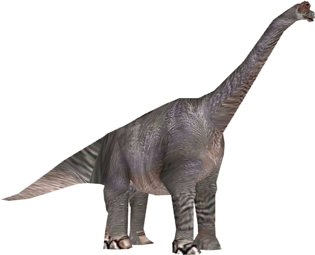 Brachiosaurus - Wiki (637x637), Png Download