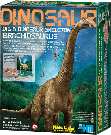 4m Kidz Labs - Dig A Brachiosaurus (600x600), Png Download
