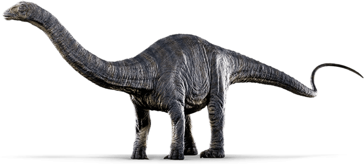 Similar Dinosaur, Stegosaurus, Brachiosaurus, Diplodocus, - Apatosaurus Jurassic World (750x337), Png Download