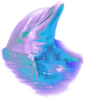 Colours - Vaporwave Dolphin Png (363x480), Png Download