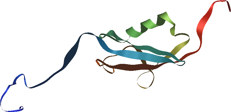 Hsumo1 1a5r Nmr Ribbons - Ribbons (807x422), Png Download