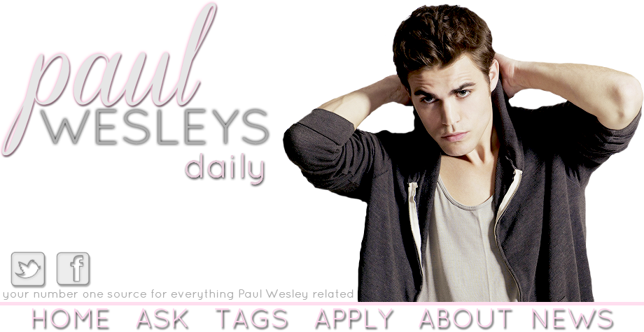 Paul Wesley Png Pack (920x475), Png Download