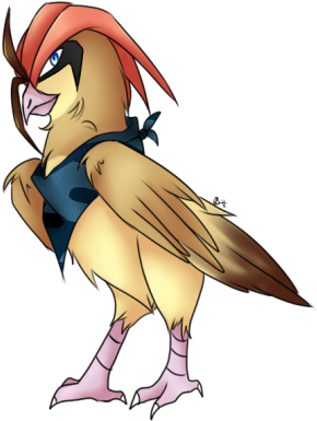 Baaron The Pidgeotto - Buzzard (370x400), Png Download