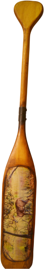 Paddle (1024x1024), Png Download