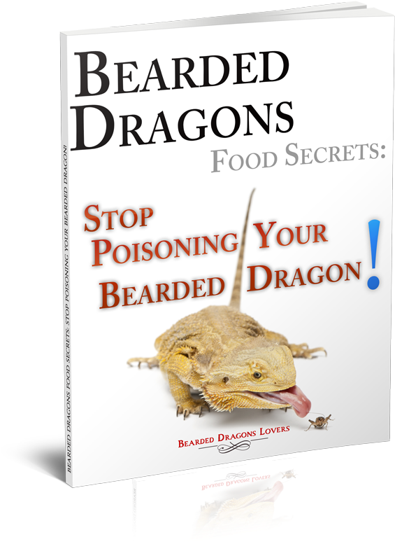 Oak Ridge National Laboratory (600x790), Png Download