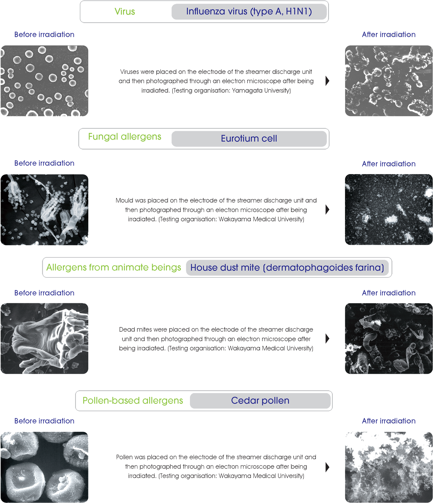 A Clean Technology That's Recognised By Public Institution*in - ダイキン(daikin) パワフル空気清浄機「光クリエール」 ホワイト Acm75l-w (1500x1770), Png Download