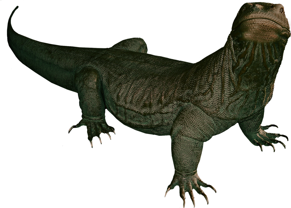 Komodo Dragon Png Clipart - Komodo Dragon Without Background (1024x717), Png Download
