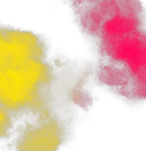 Mimosa (480x494), Png Download