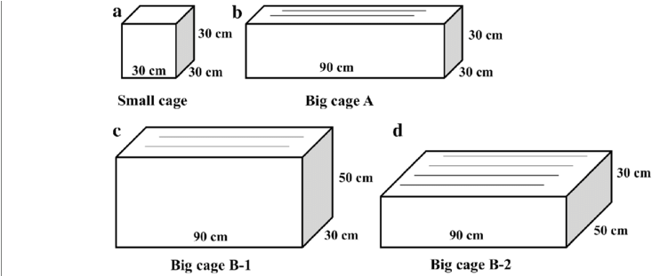 Different Dimensions Of Stainless Steel Cages For The - Dimensions Of Stainless Steel (850x310), Png Download