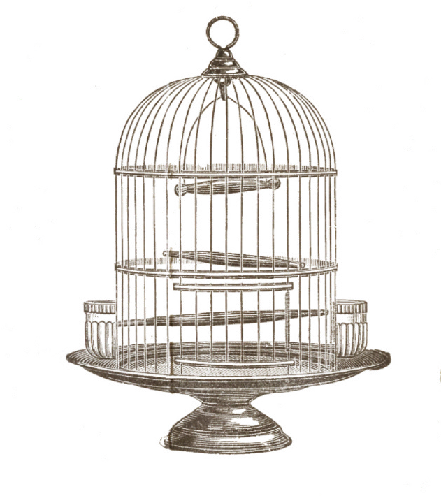 Birdcage Png Objects Pinterest Scrapbooking Birdcagepng - Vintage Bird Cage Drawing (630x768), Png Download