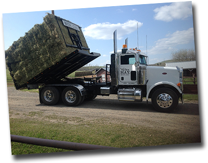 Delivery - - Transparent Hay Truck (444x330), Png Download