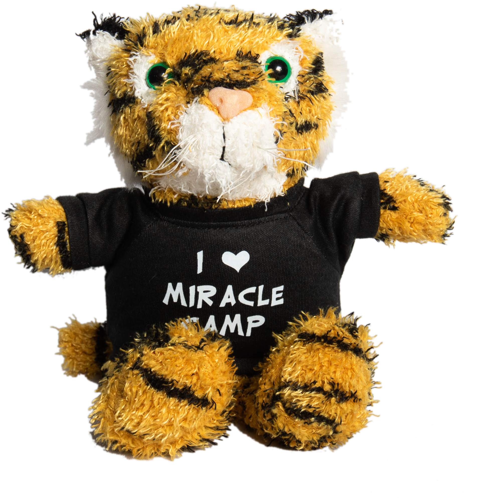 Stuffed Animal - Teddy Bear (3134x3134), Png Download