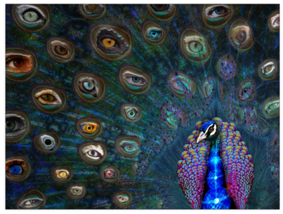 All Seeing Eye Poster - Feather Art Shirts (500x500), Png Download