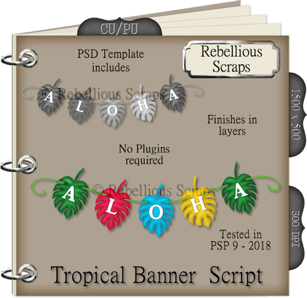Tropical Banner - Pahu Drum (600x583), Png Download
