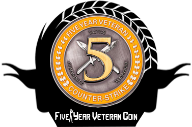 5 Year Veteran Coin Cs - Counter-strike: Global Offensive (384x384), Png Download