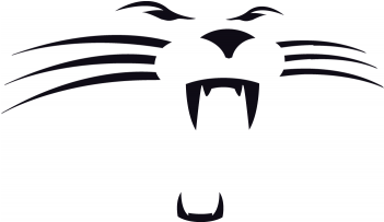 Nfl Carolina Panthers Fiber Reactive Beach Towel (350x435), Png Download
