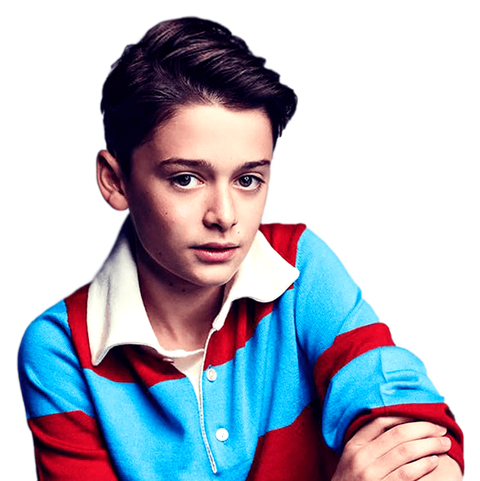 Celebrity Information - Noah Schnapp (962x960), Png Download